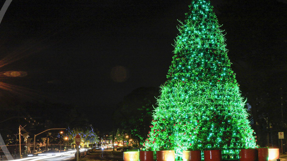 Natal Luz Gramado - Foto 7