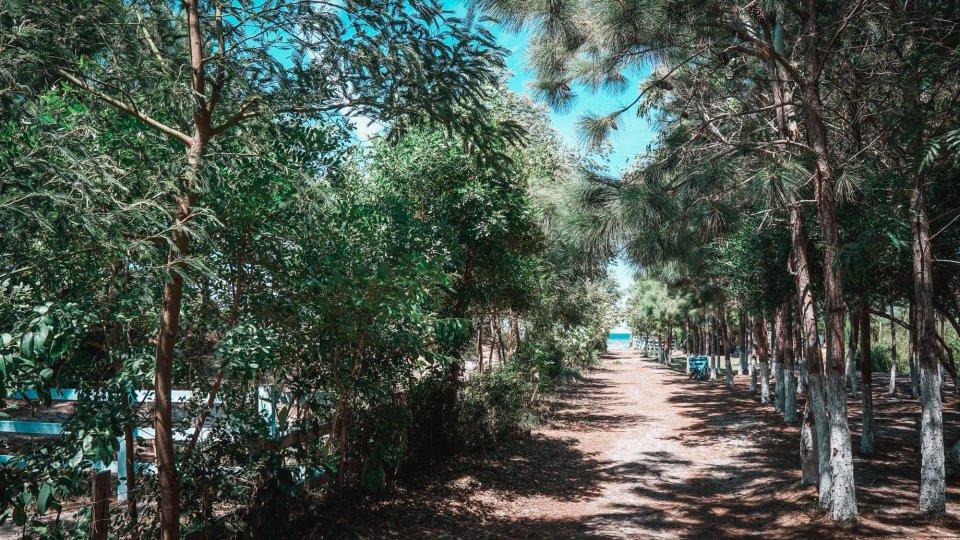 Lagoa do Bacupari – Água doce, morna e cristalina - Foto 3