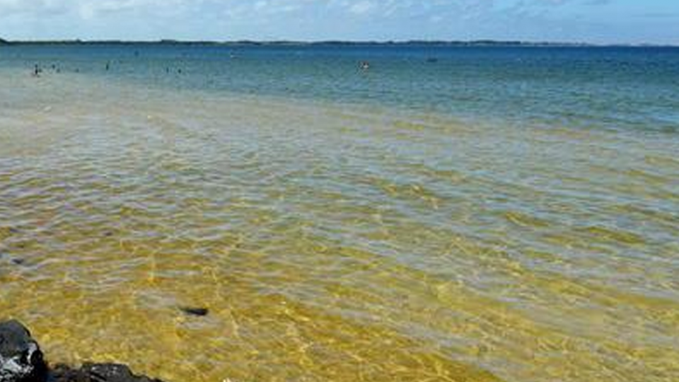 Lagoa do Bacupari – Água doce, morna e cristalina - Foto 5