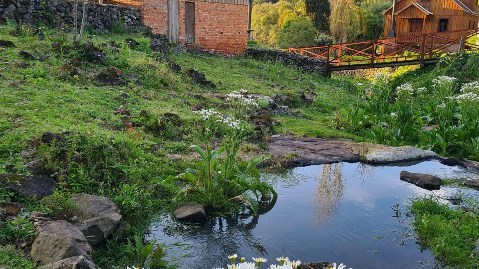 Vale dos Vinhedos e Caminhos de Pedra - Bento Gonçalves/RS - Foto 1