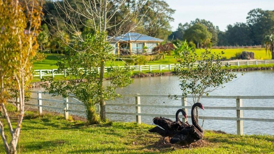 Recantos Coloniais de Antônio Prado (Sábado) - Foto 16