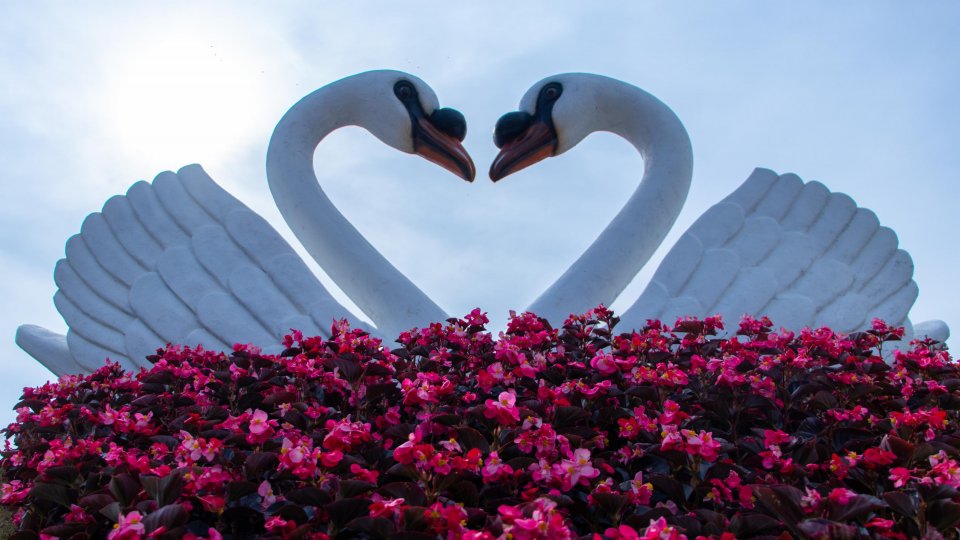 Expoflora - Holambra, Itu e Campinas - Foto 15