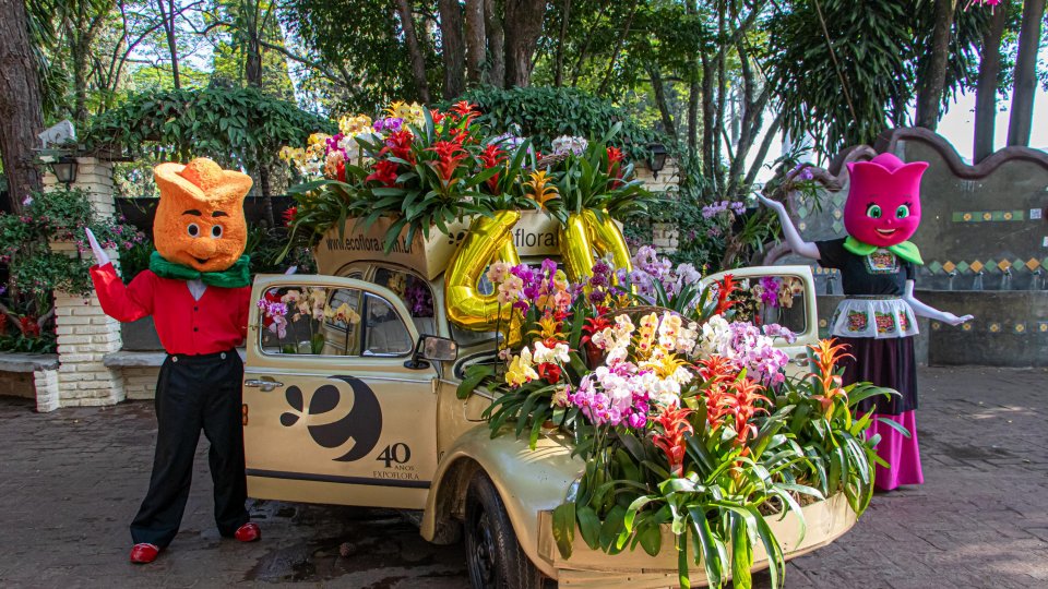 Expoflora - Holambra, Itu e Campinas - Foto 30