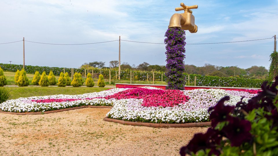 Expoflora - Holambra, Itu e Campinas - Foto 13