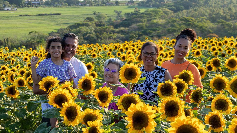 Expoflora - Holambra, Itu e Campinas - Foto 22