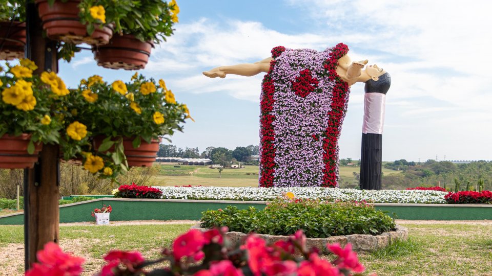 Expoflora - Holambra, Itu e Campinas - Foto 11