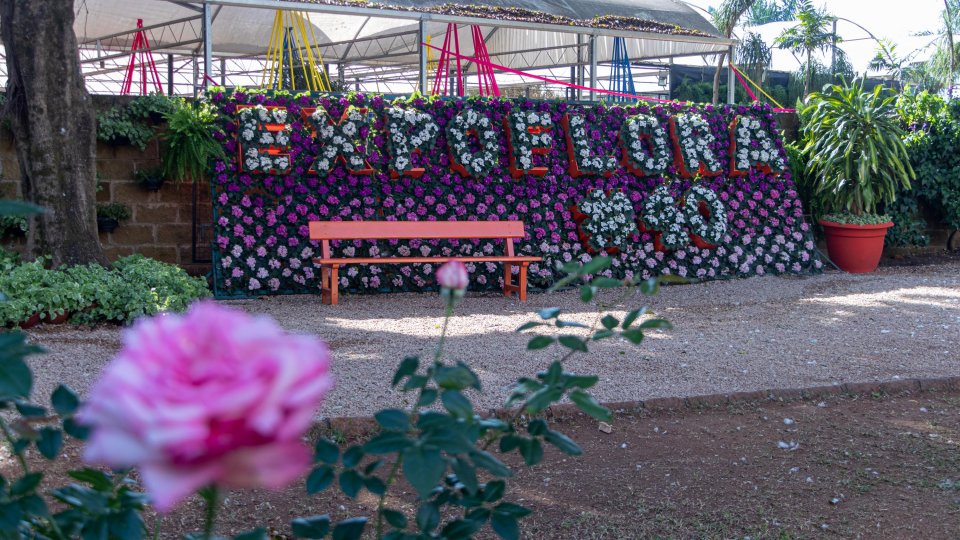 Expoflora - Holambra, Itu e Campinas - Foto 17