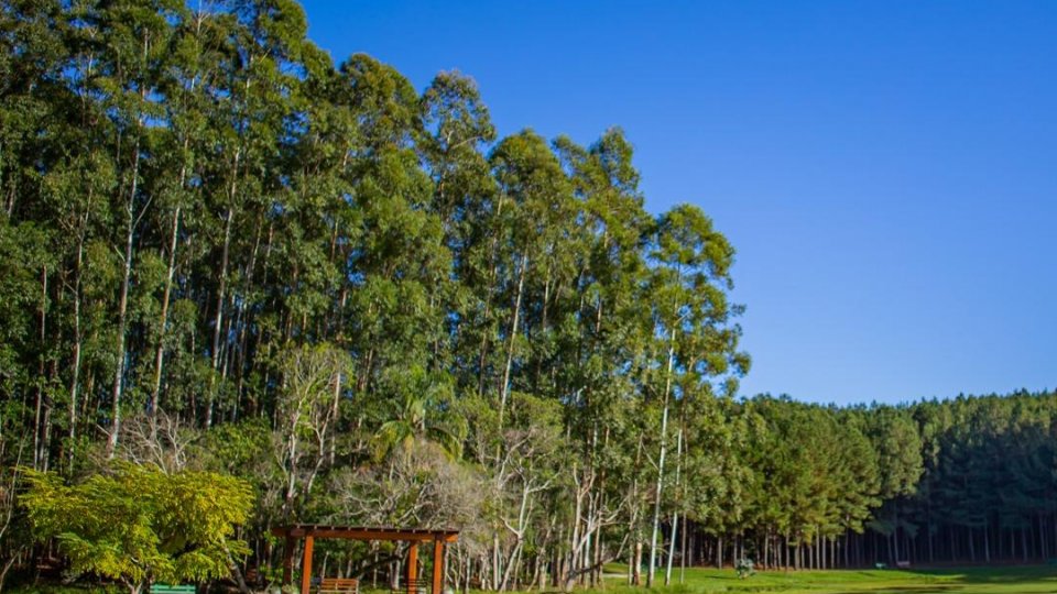 Feriado no Recanto Maestro - Termas Romanas - Meia pensão - Foto 20